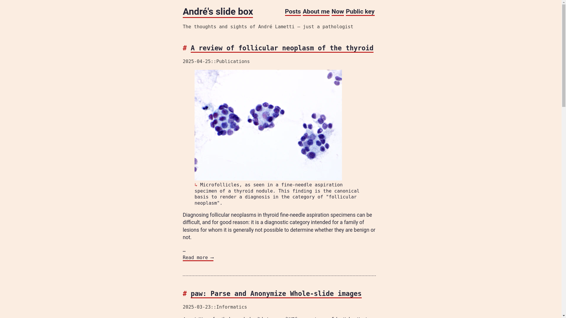 website screenshot of https://justapathologist.pages.dev/