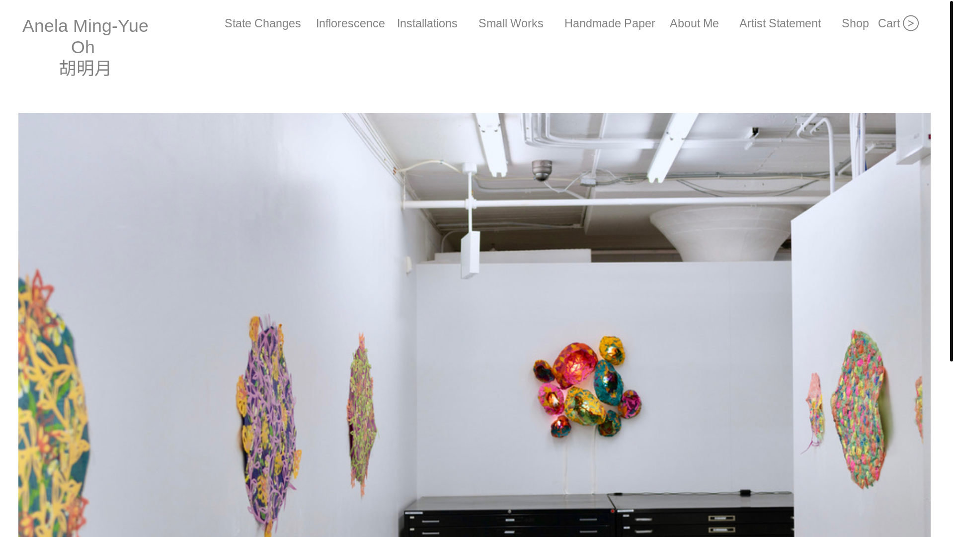 website screenshot of https://anelaming.com/