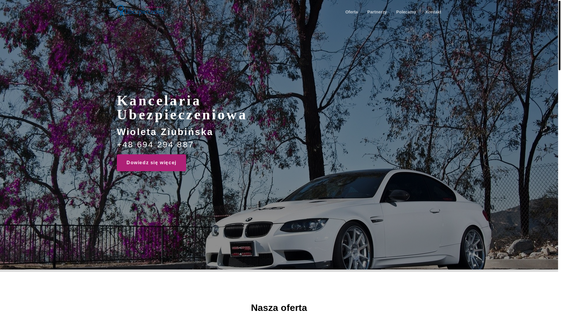 website screenshot of https://minsk-ubezpieczenia-pl.pages.dev/