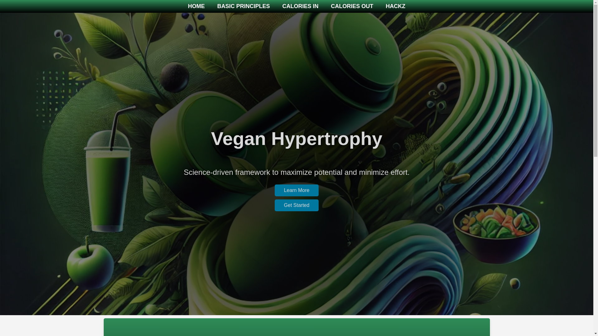 website screenshot of https://vegan-fitness.pages.dev/