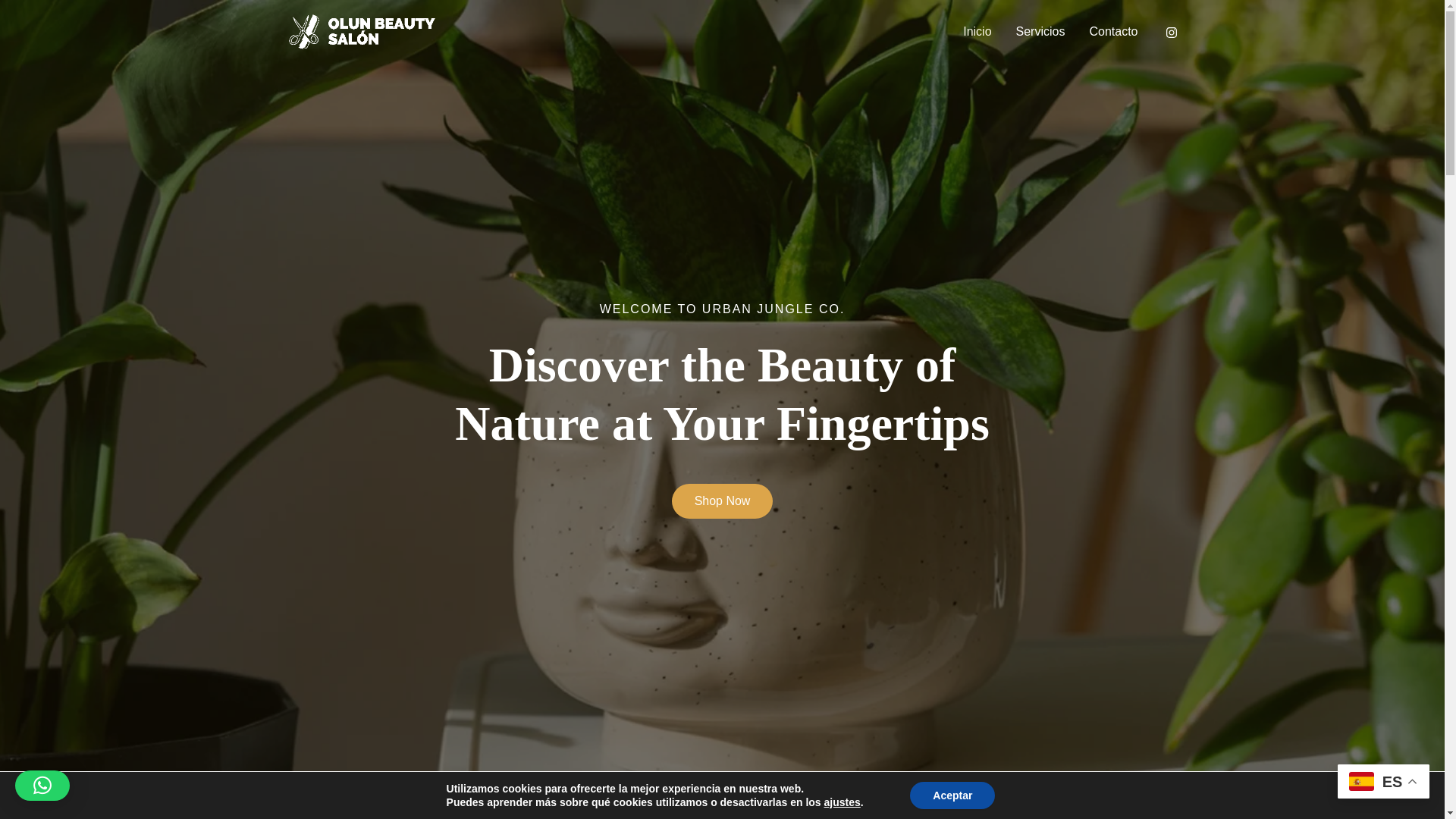 website screenshot of https://salonolunbeauty.es/