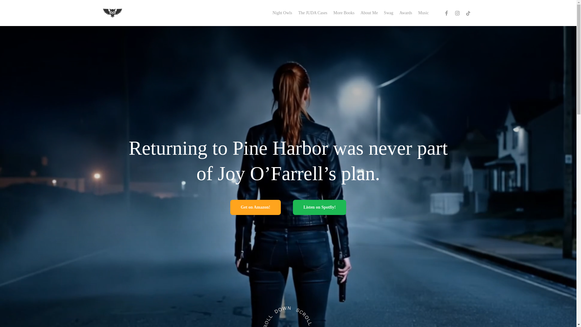 website screenshot of https://nightowlsnovels.com/