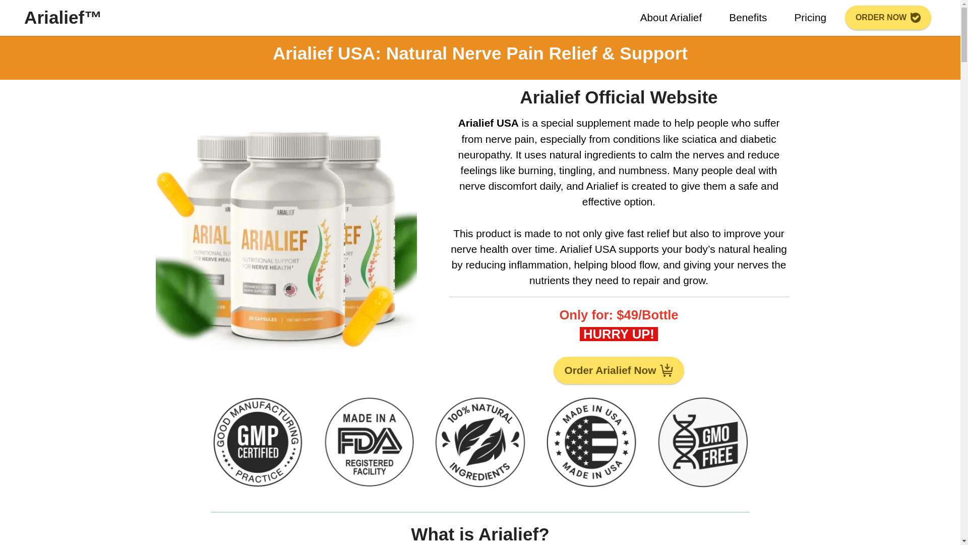 website screenshot of http://arialief-usa.us/