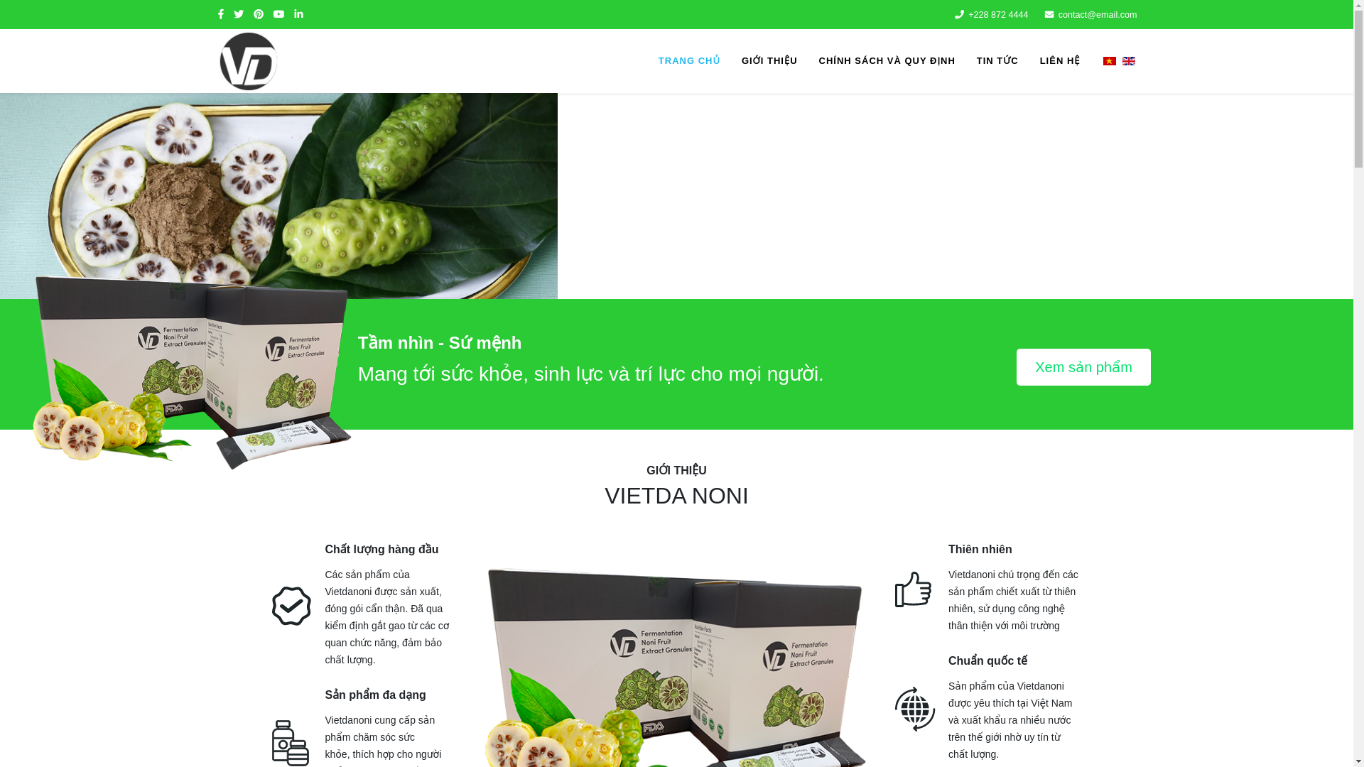 website screenshot of https://davietnoni.com/