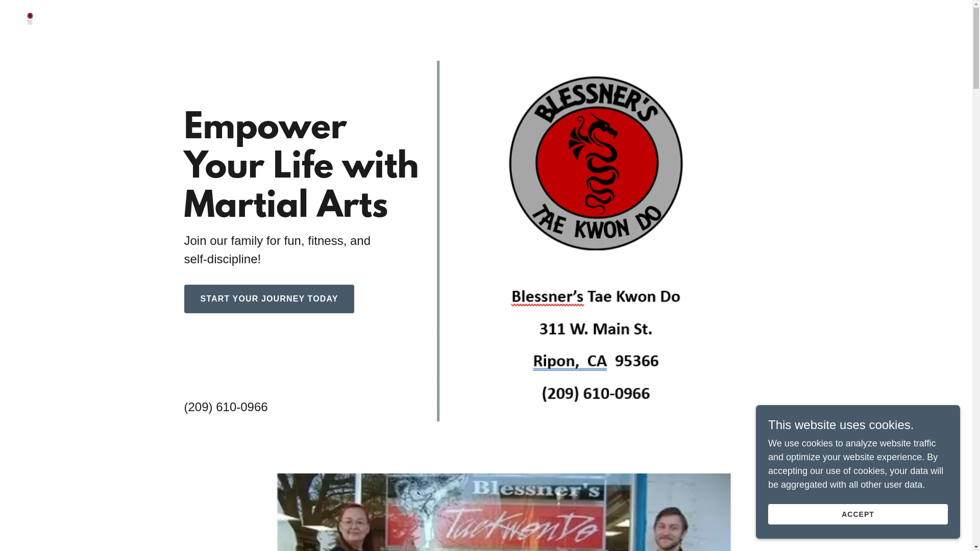 website screenshot of https://ripontkd.com/