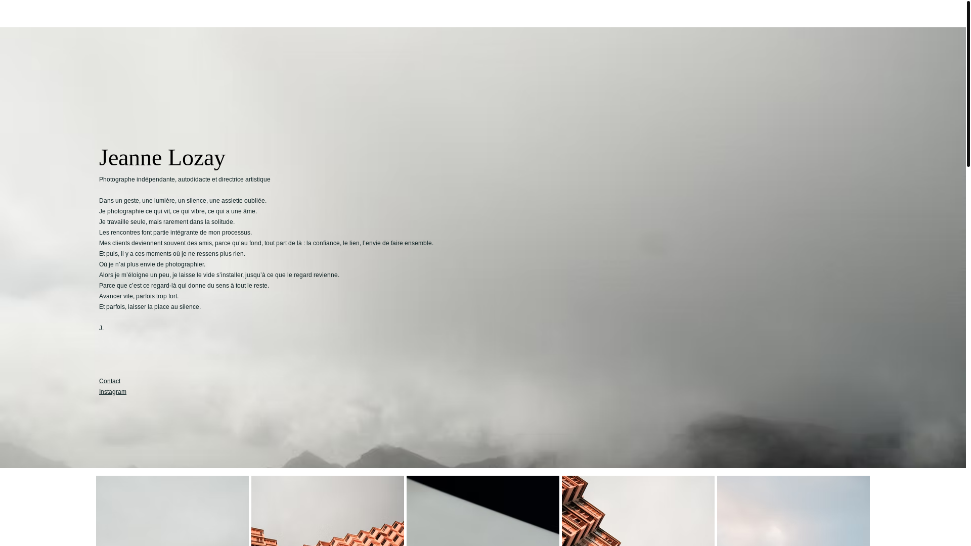 website screenshot of https://jeannelozay.com/