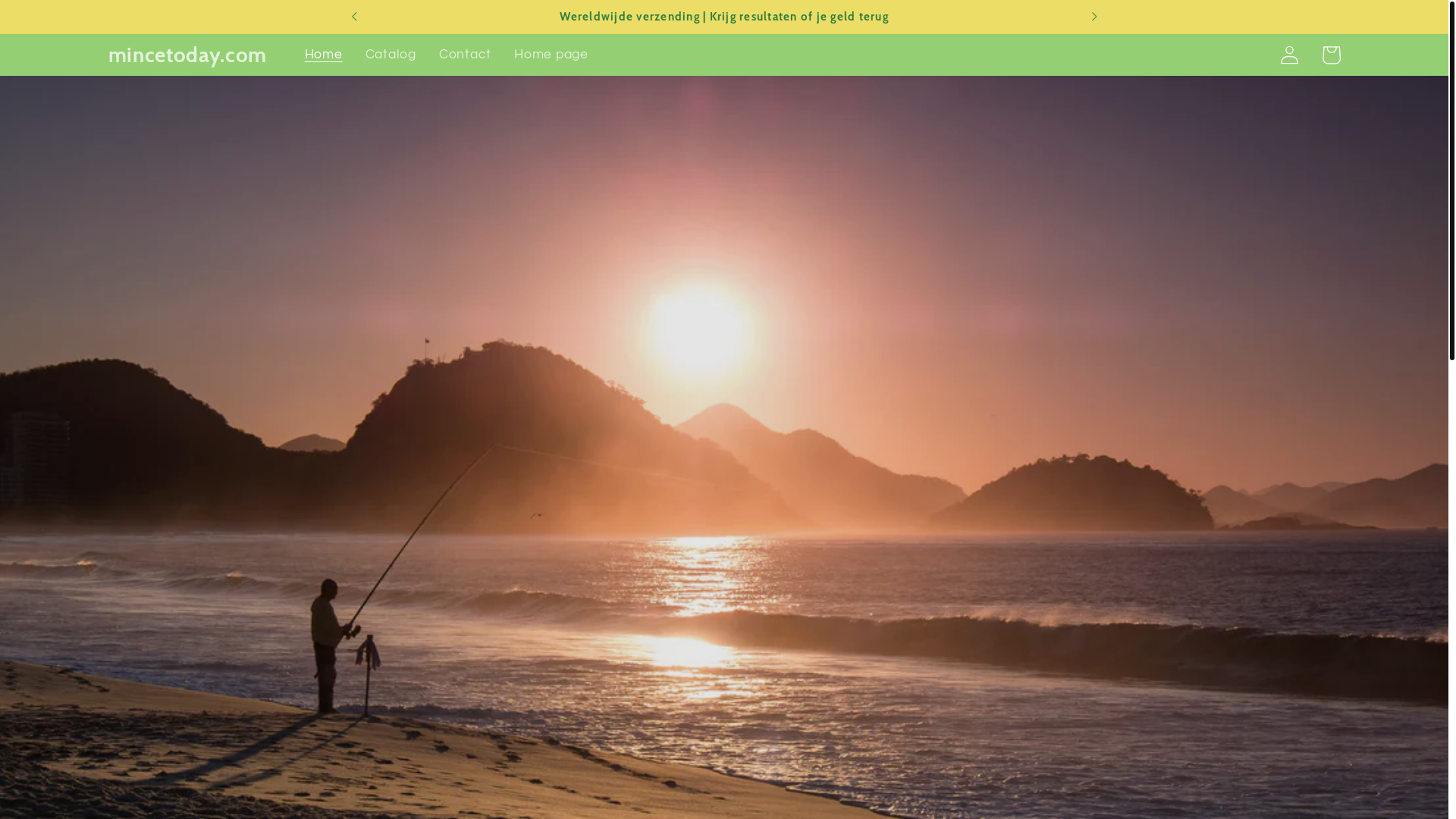 website screenshot of https://mincetodayvip.com/