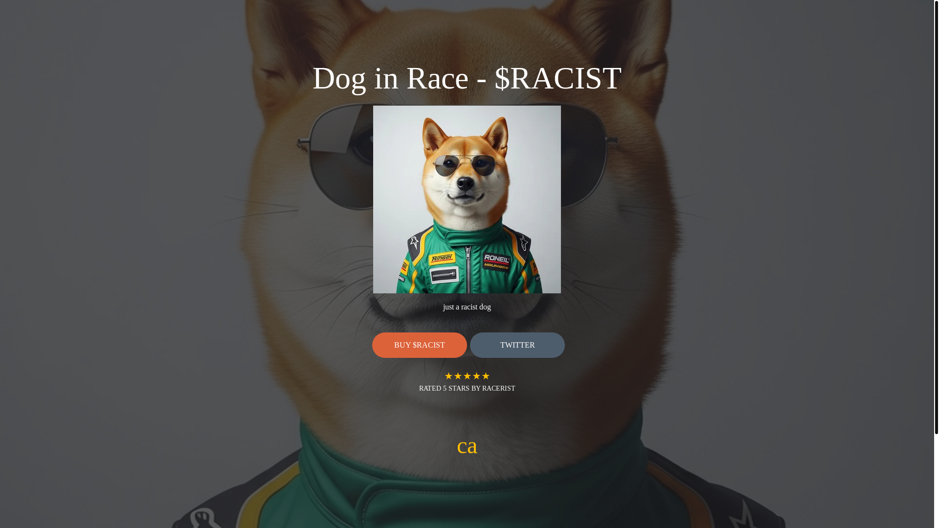 website screenshot of https://doginrace.fun/