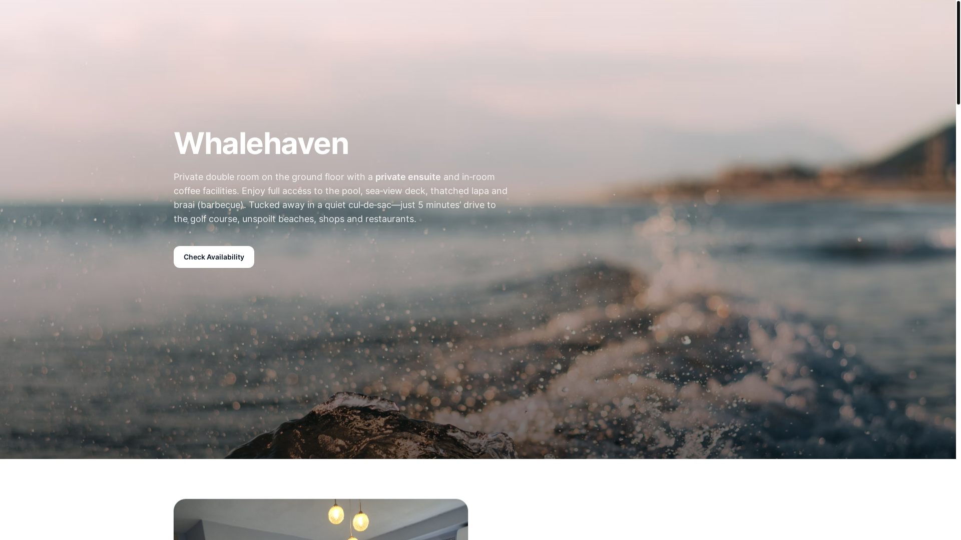 website screenshot of https://whalehavenkzn.co.za/