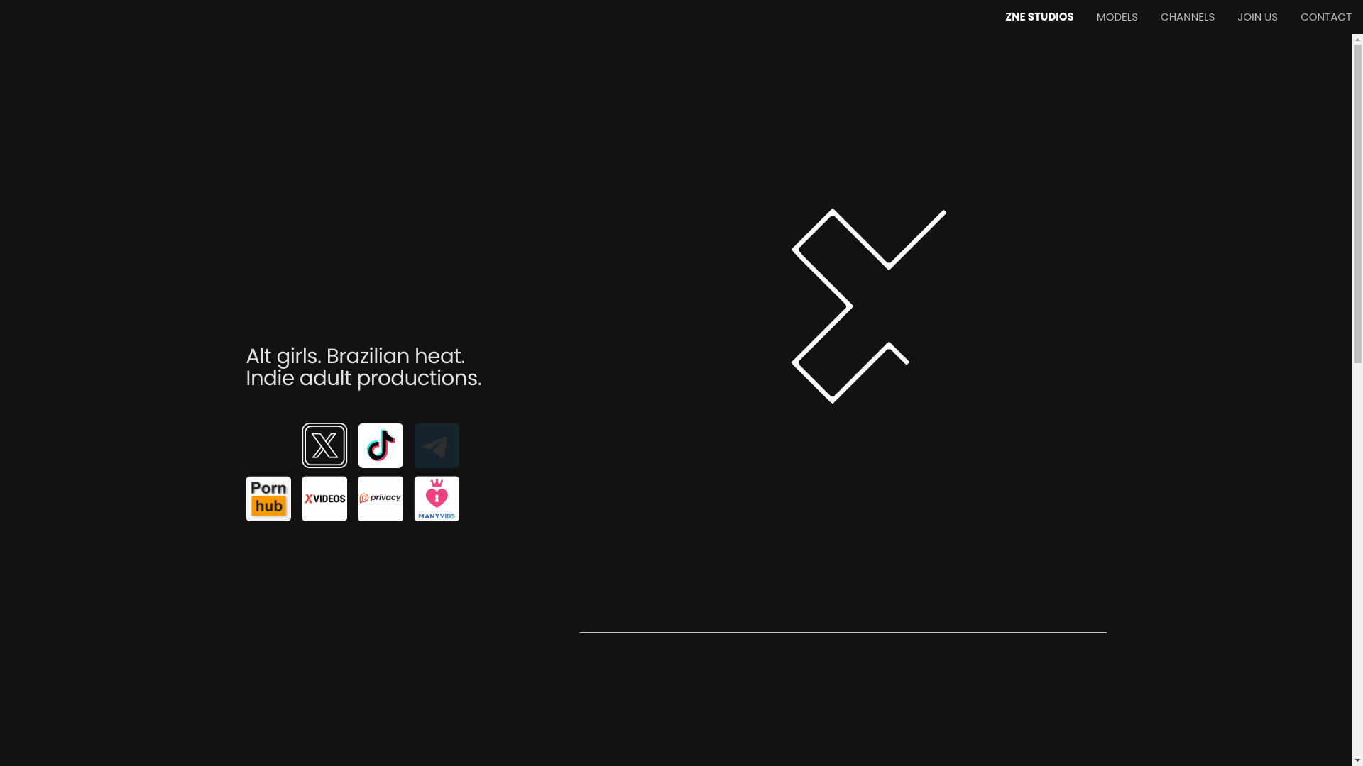 website screenshot of https://znestudios.com/