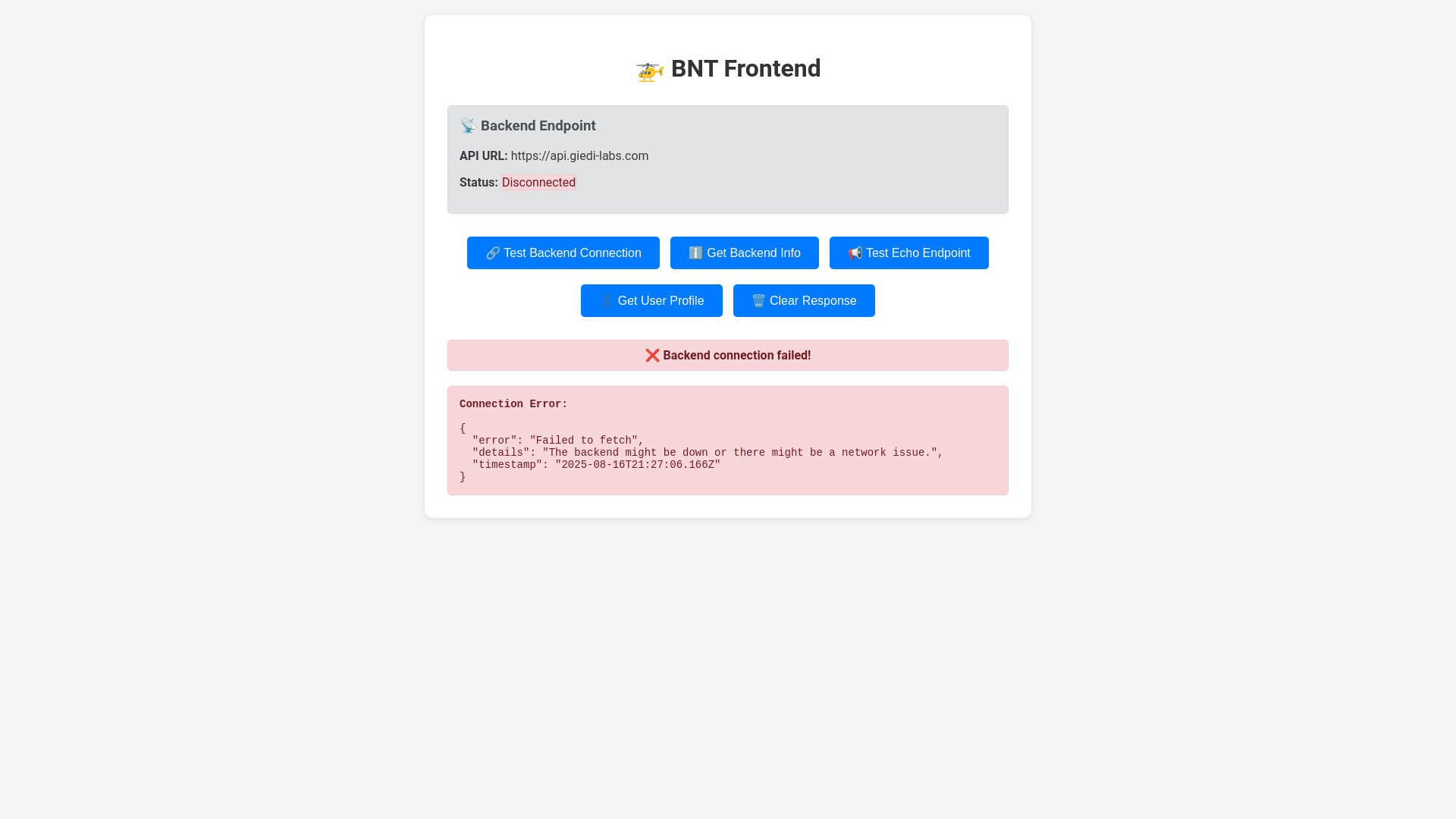 website screenshot of https://bnt-test-frontend-test.pages.dev/