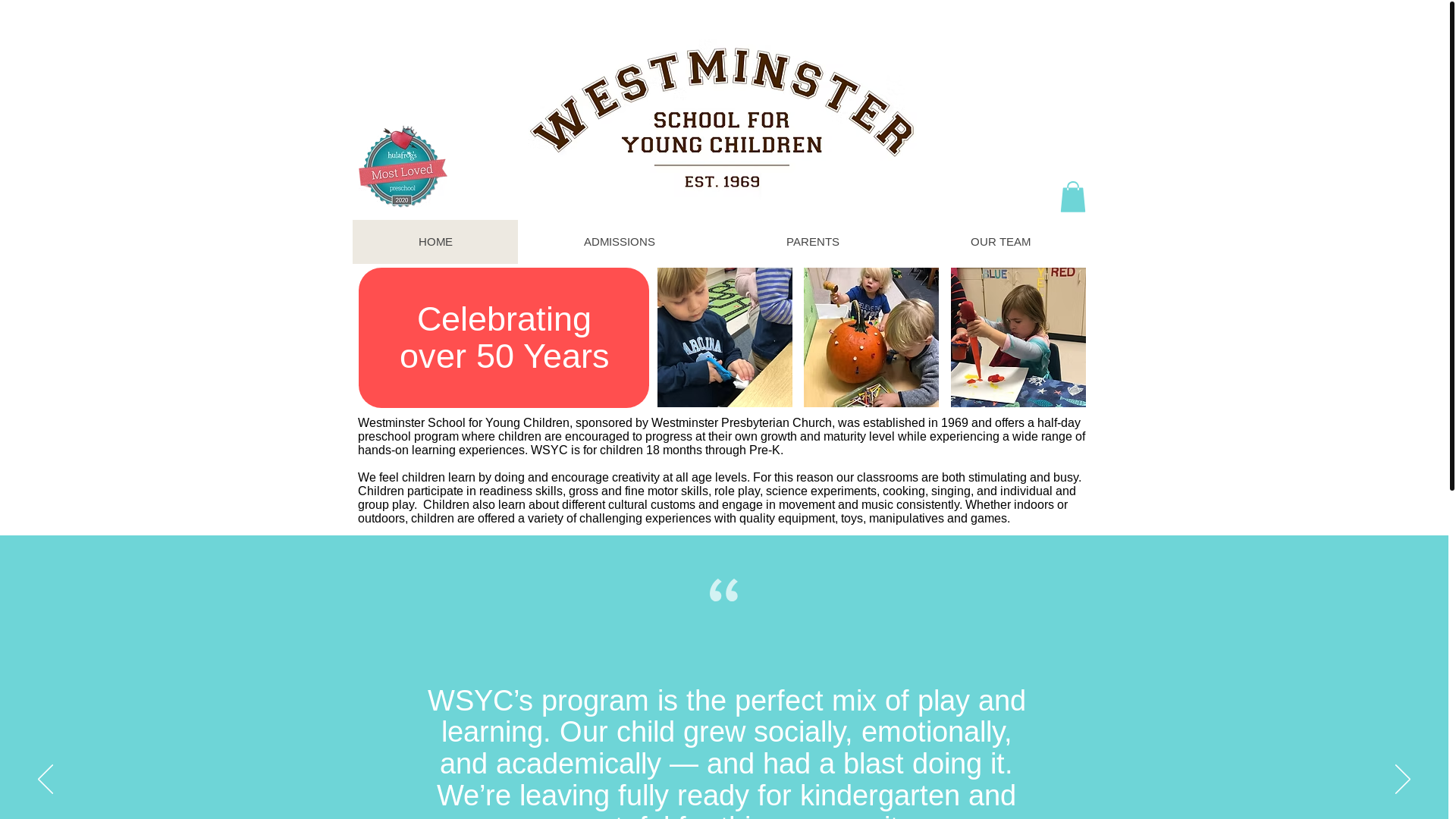 website screenshot of https://wsycdurham.org/