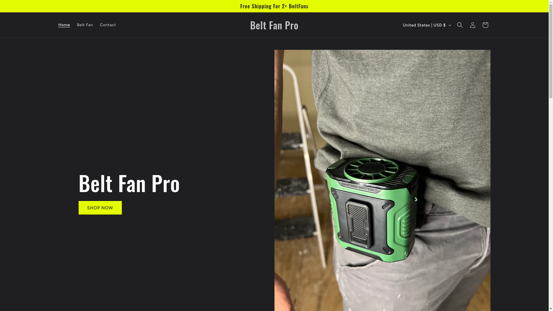 website screenshot of https://beltfanpro.com/