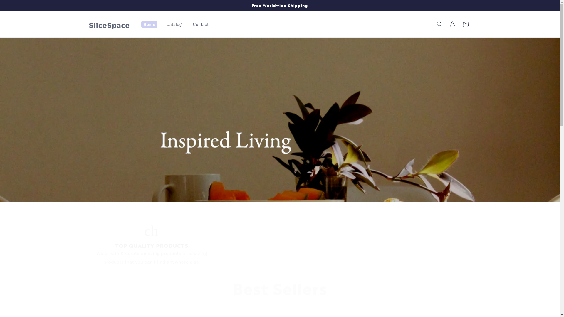 website screenshot of https://slicespace.shop/