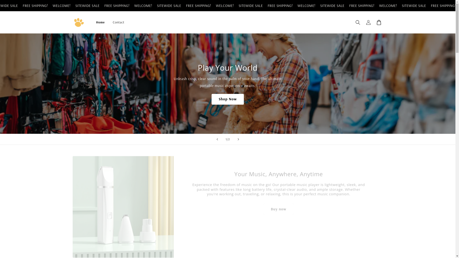 website screenshot of https://rsrstore.store/