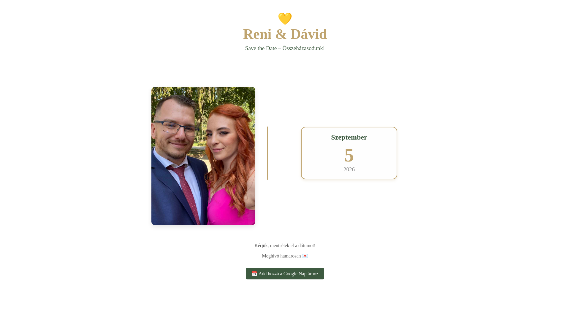 website screenshot of https://reniesdavid.hu/