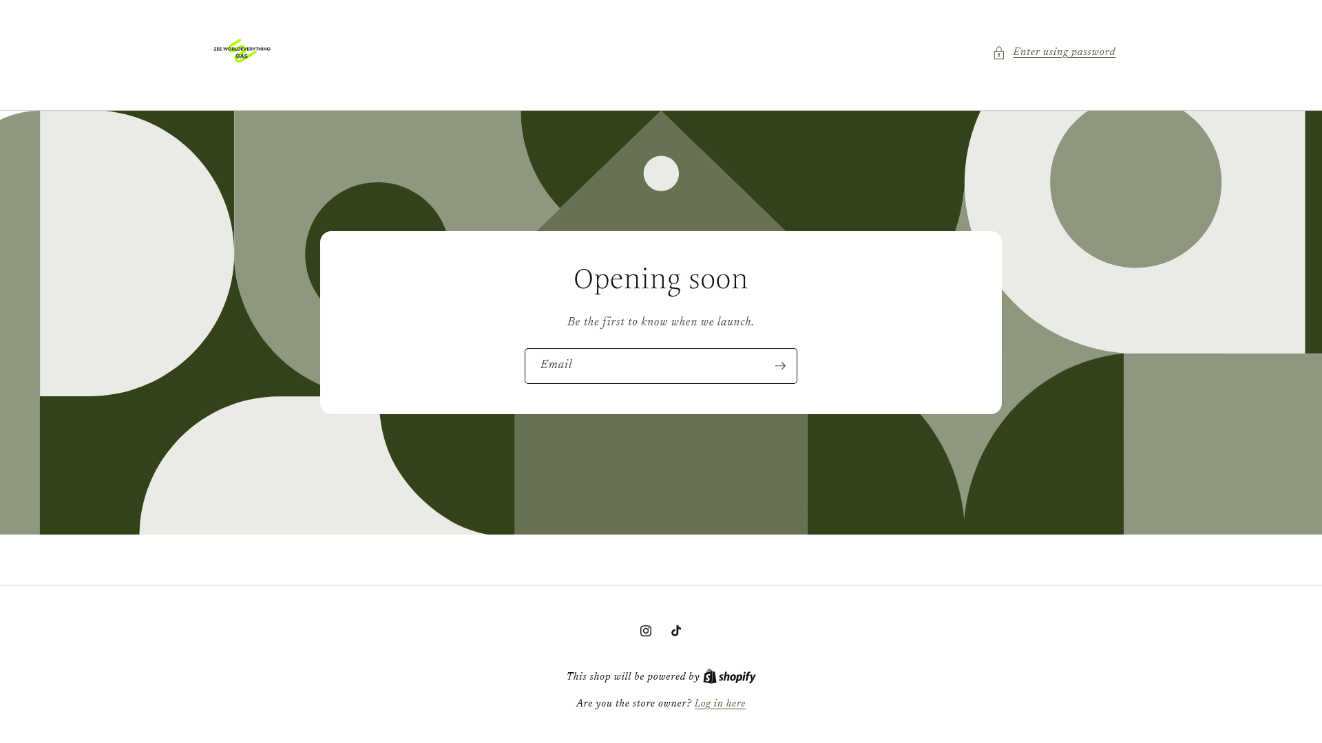 website screenshot of https://zeeworldeverythinggas.com/