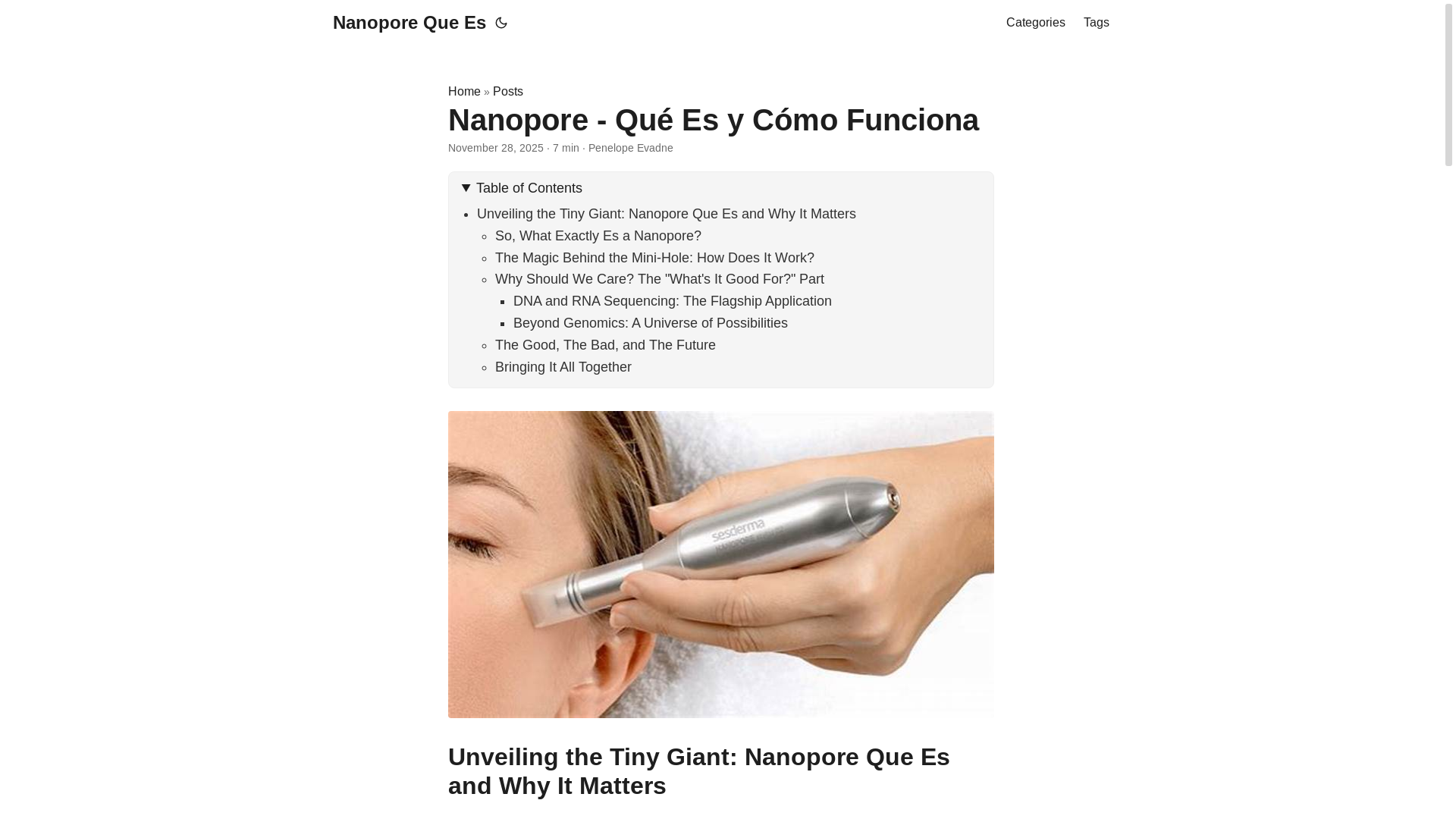 website screenshot of https://nanoporequees.pages.dev/