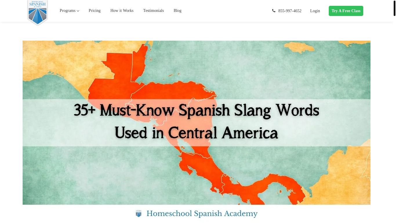 website screenshot of https://www.spanish.academy/blog/35-must-know-spanish-slang-words-used-in-central-america/