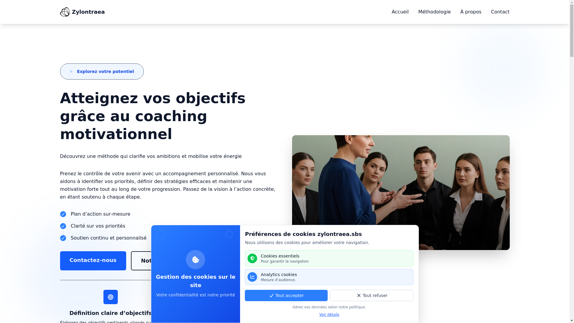 website screenshot of https://zylontraea.sbs/