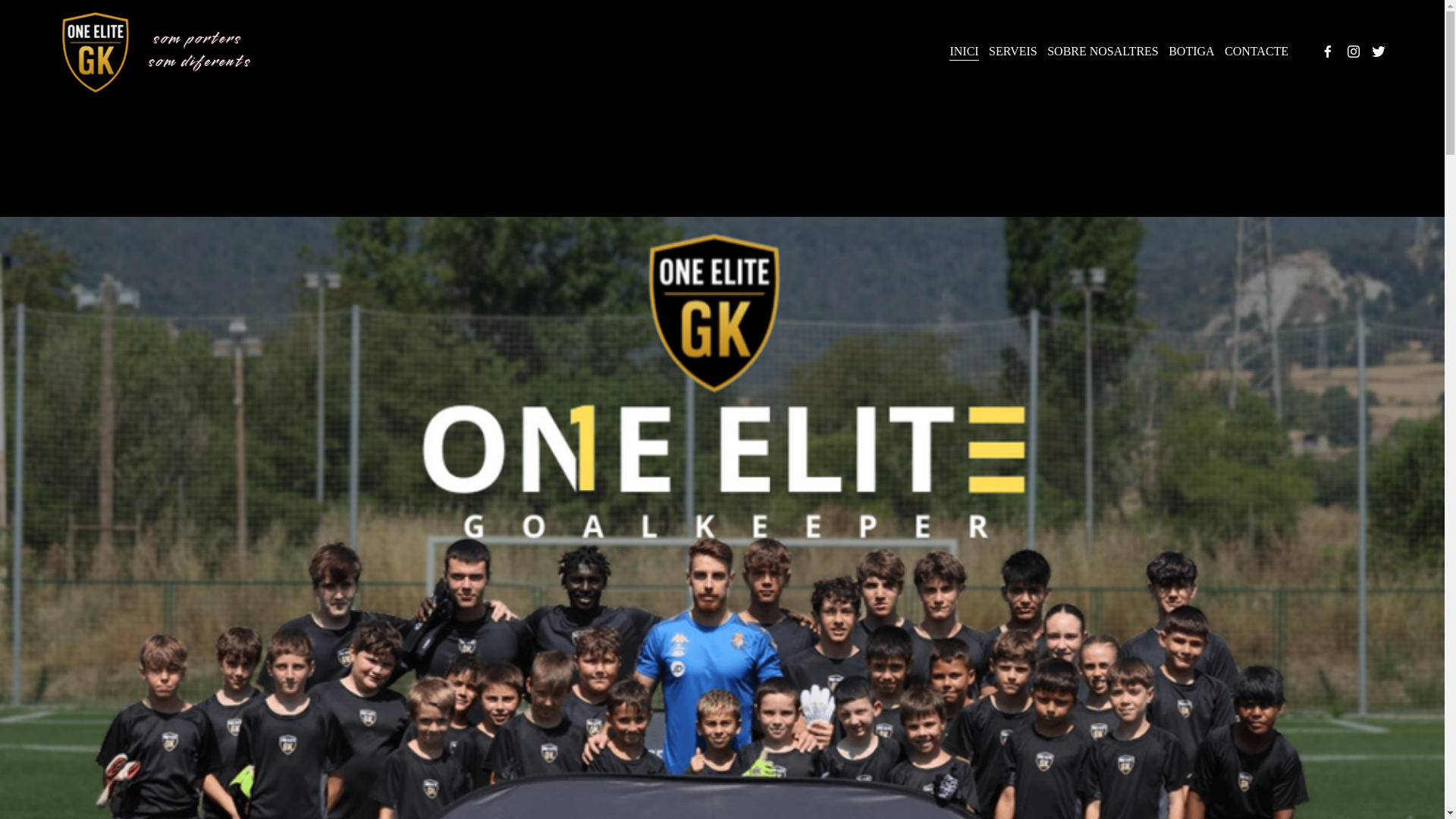 website screenshot of https://oneelitegoalkeeper.com/