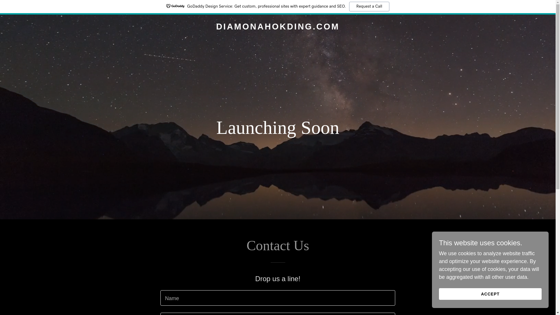 website screenshot of https://diamonahokding.com/