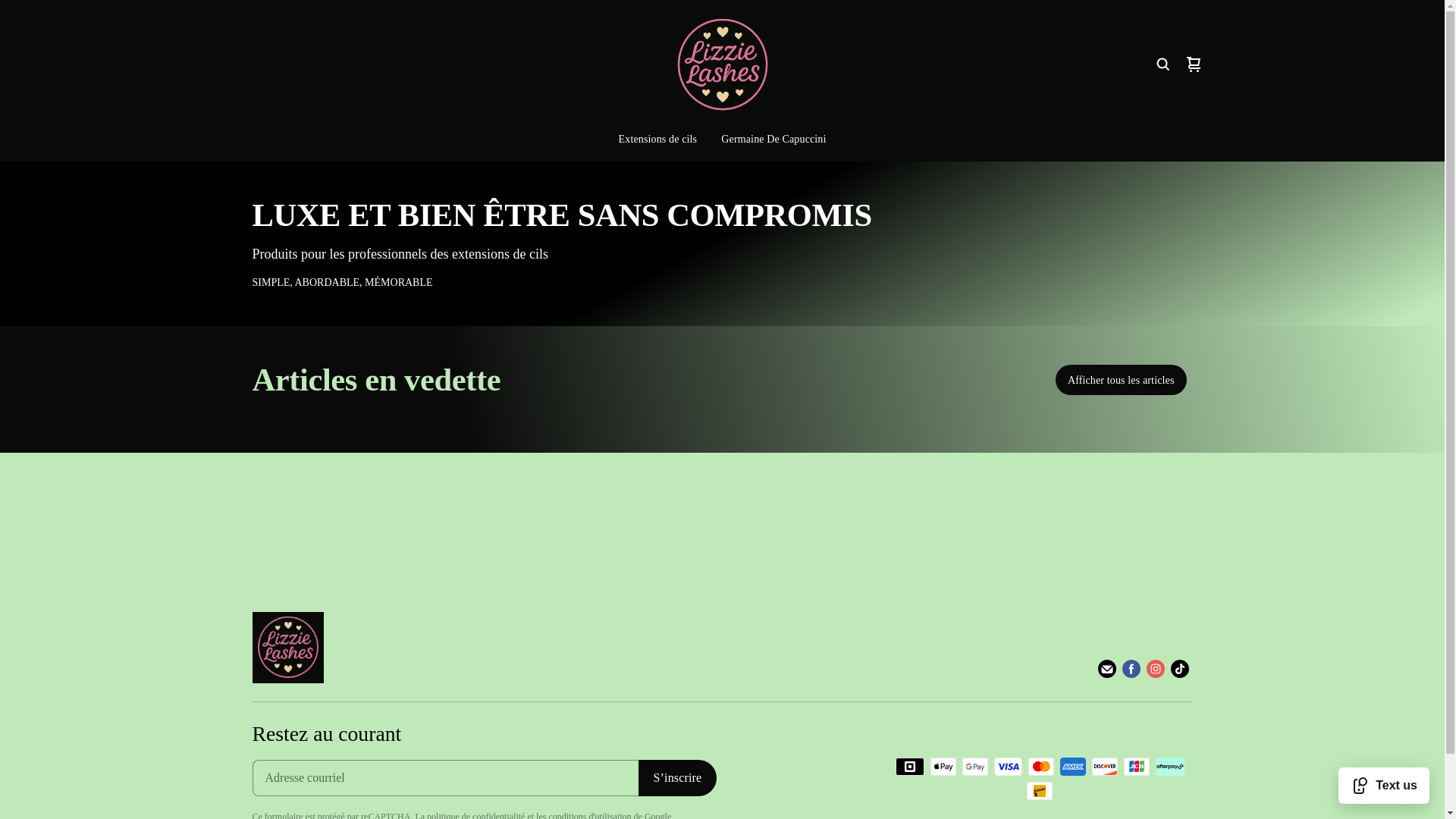 website screenshot of https://lizzielashesqc.ca/