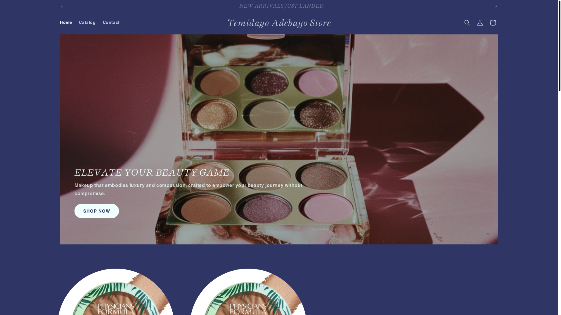 website screenshot of https://temidayoadebayo.store/