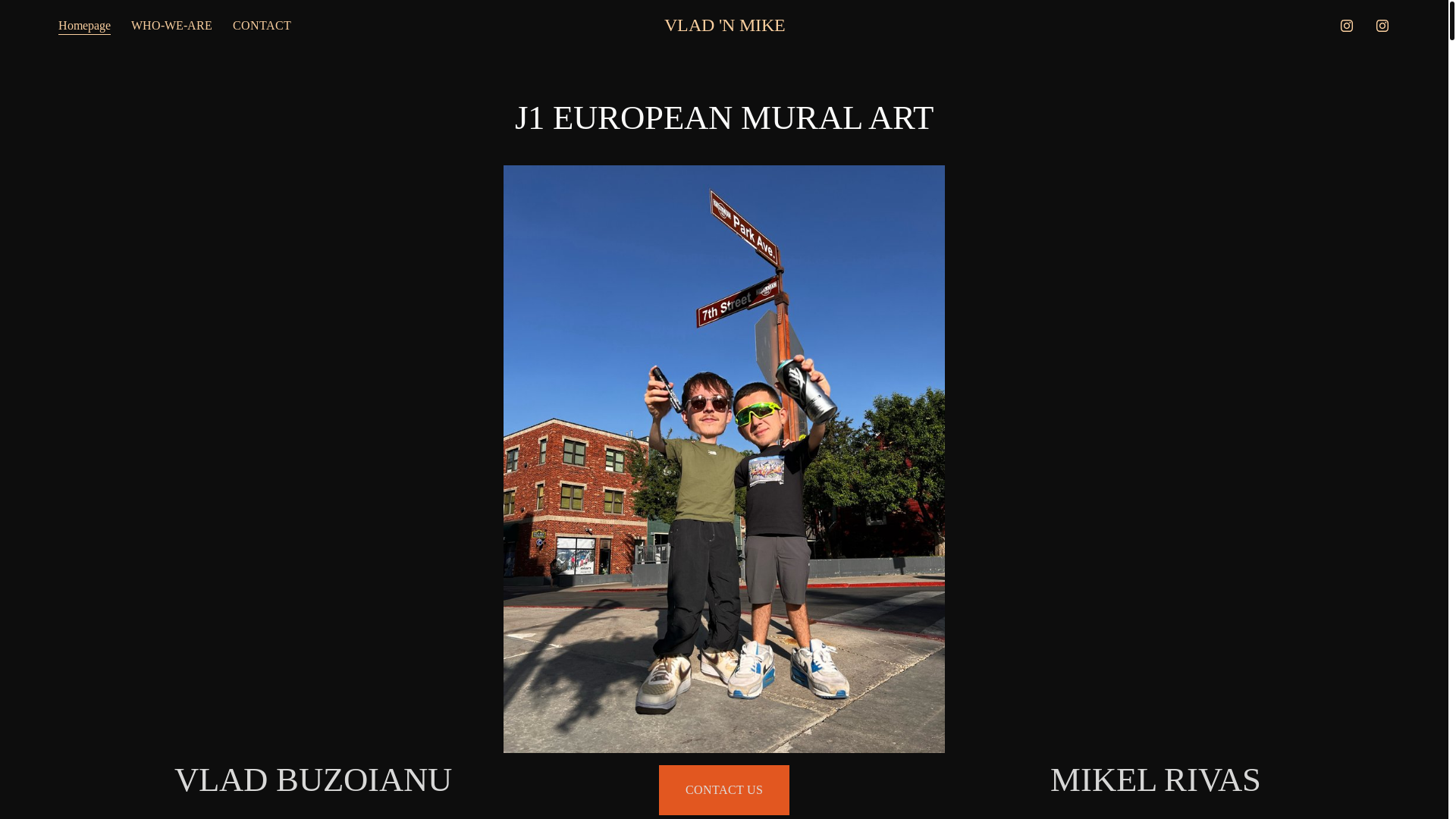 website screenshot of https://vladnmike.org/