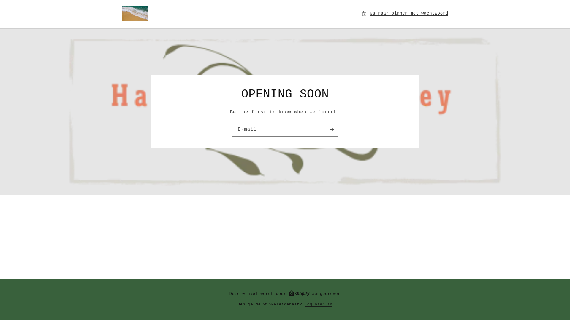 website screenshot of https://halalmindsetjourney.com/