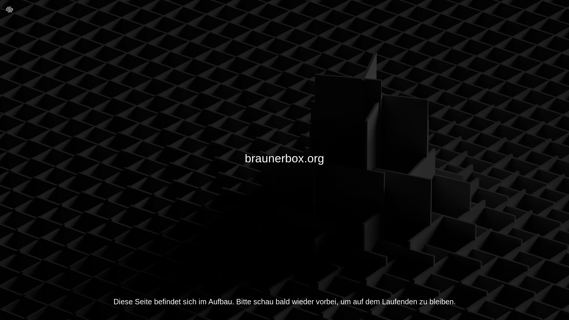 website screenshot of https://braunerbox.org/