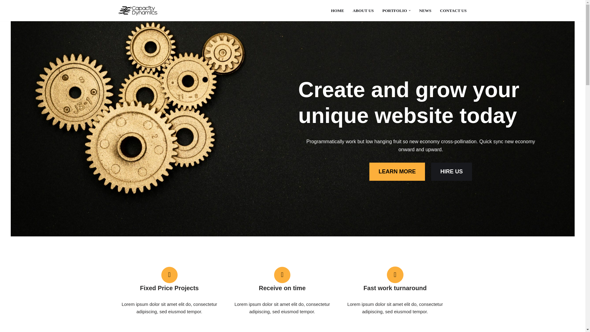 website screenshot of https://capacitydynamics.com/