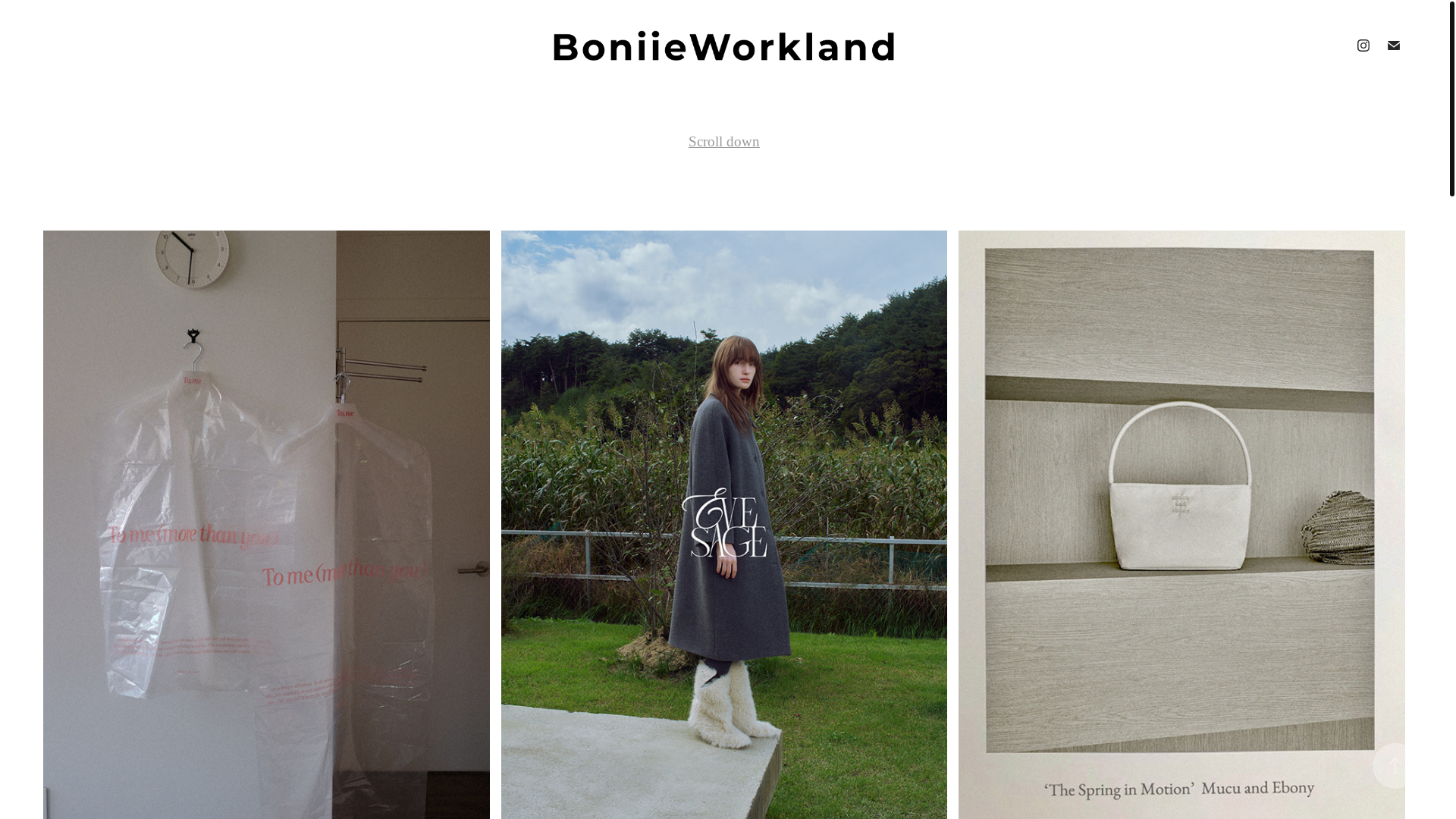 website screenshot of https://boniieworkland.com/