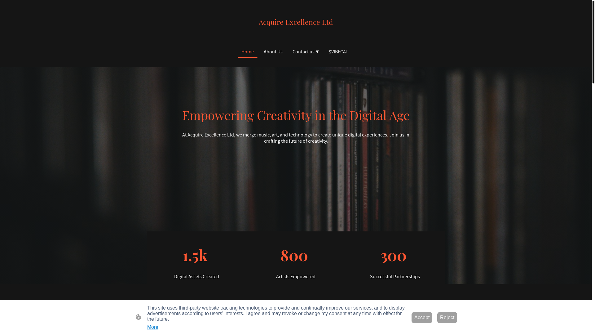 website screenshot of https://acquirexcel.com/