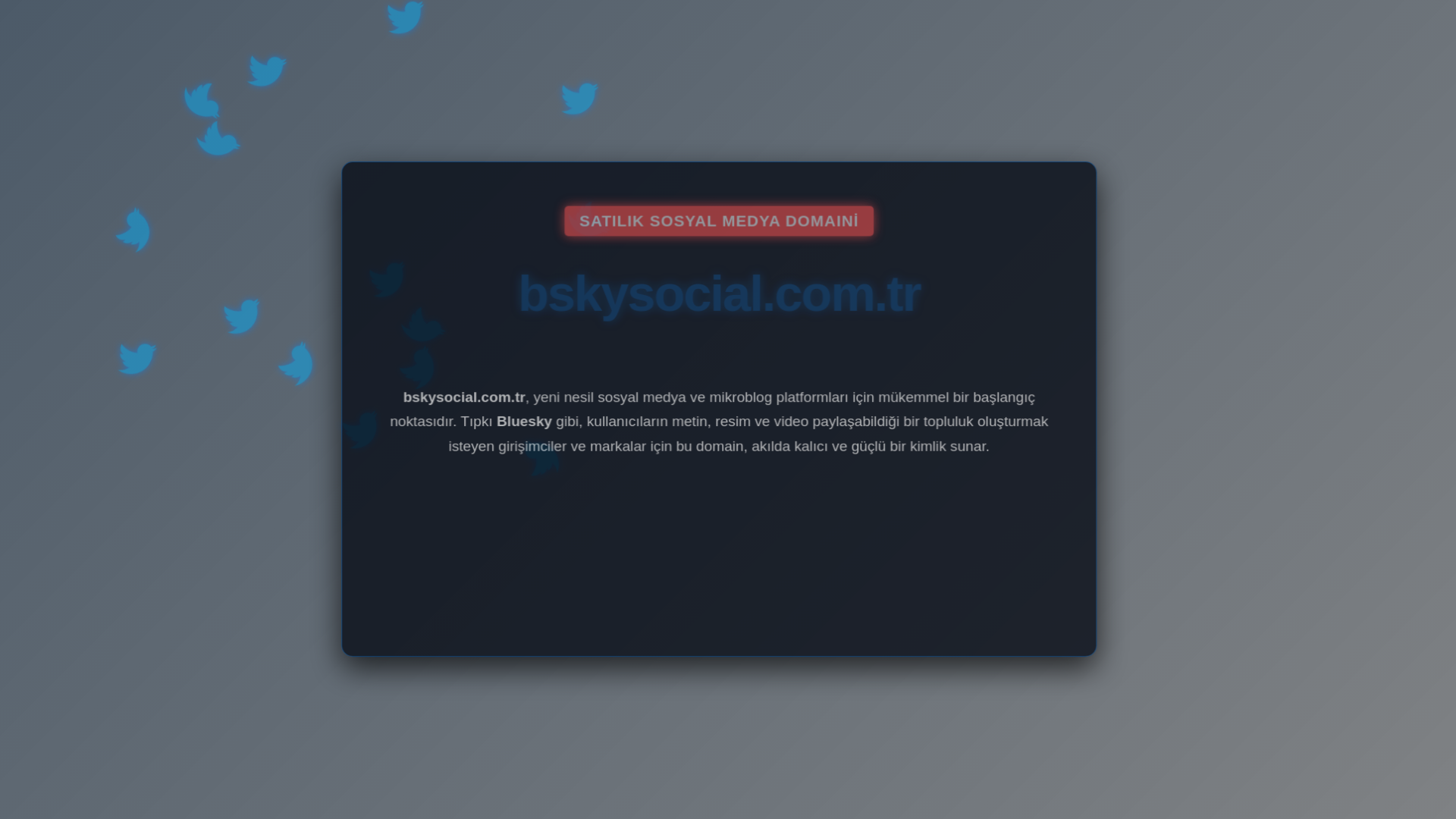 website screenshot of https://bskysocial.com.tr/