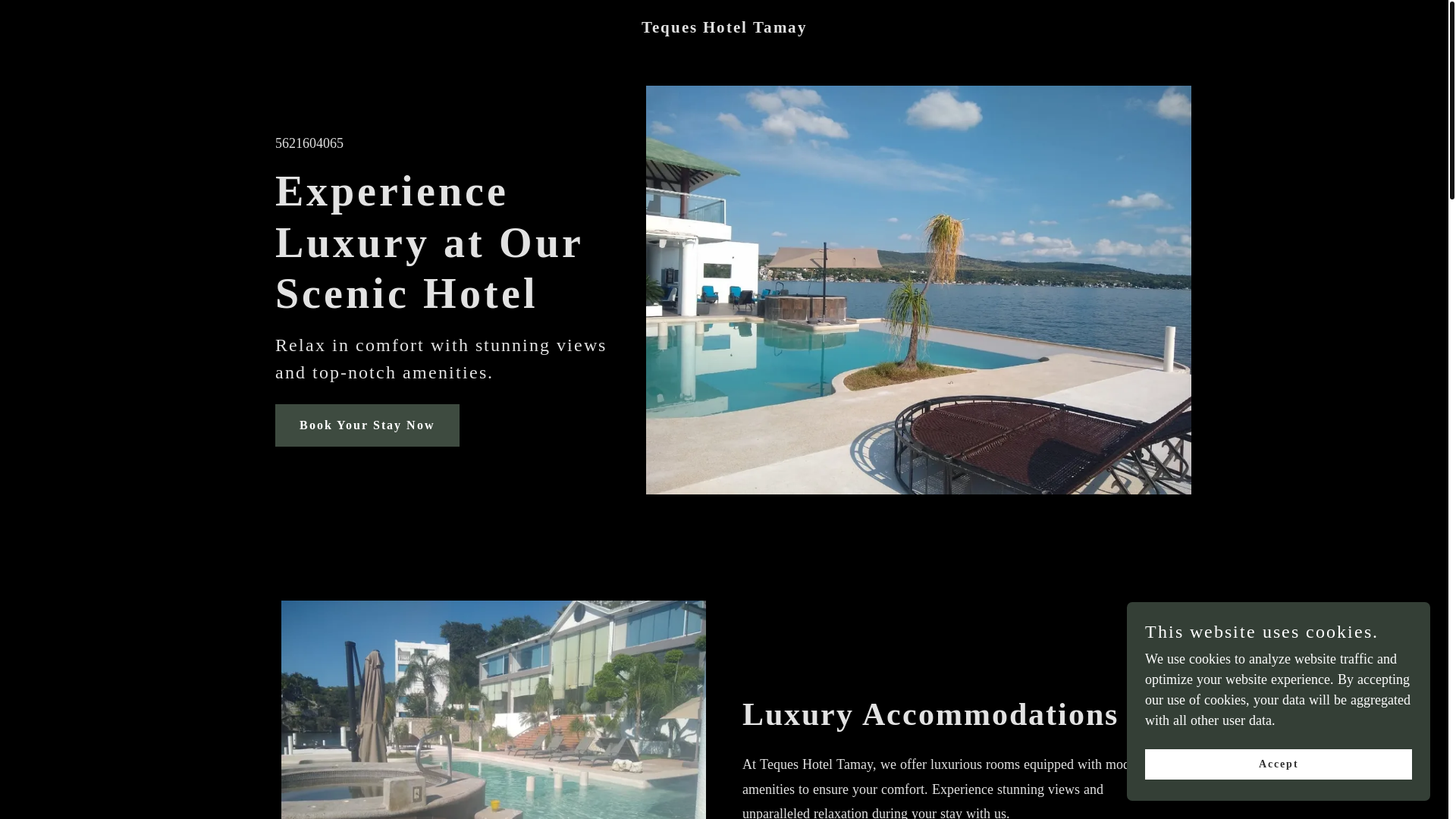 website screenshot of https://tequeshoteltamay.com/