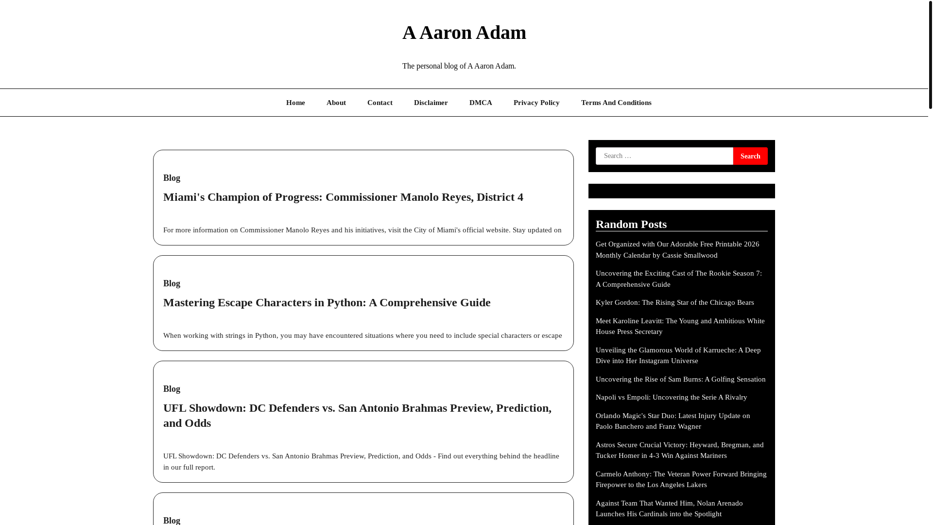 website screenshot of https://aaaronadam.pages.dev/