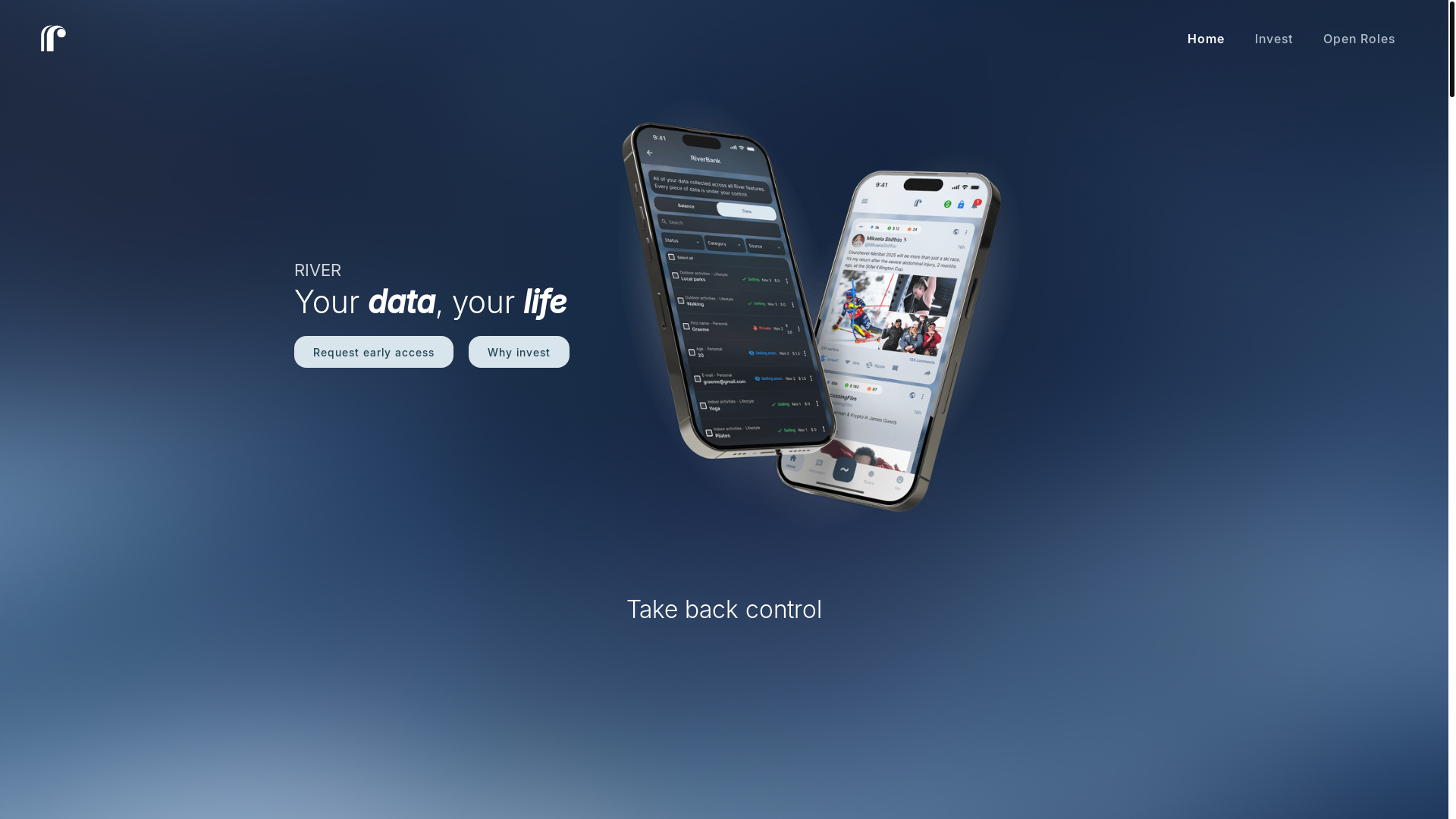 website screenshot of https://yourdatayour.life/