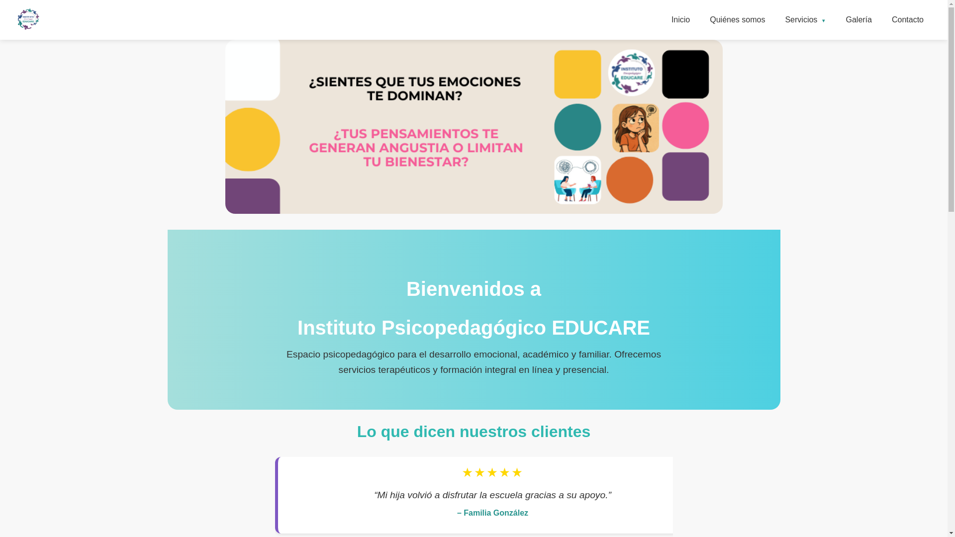 website screenshot of https://ipseducare.org/