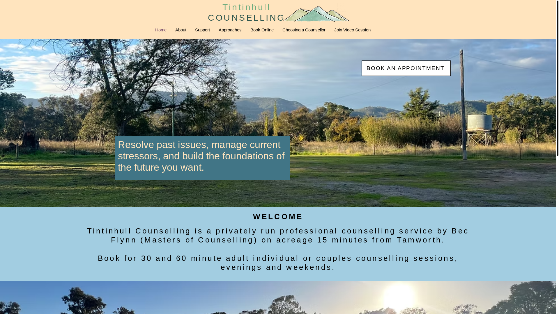 website screenshot of https://counsellingtamworthnsw.com.au/