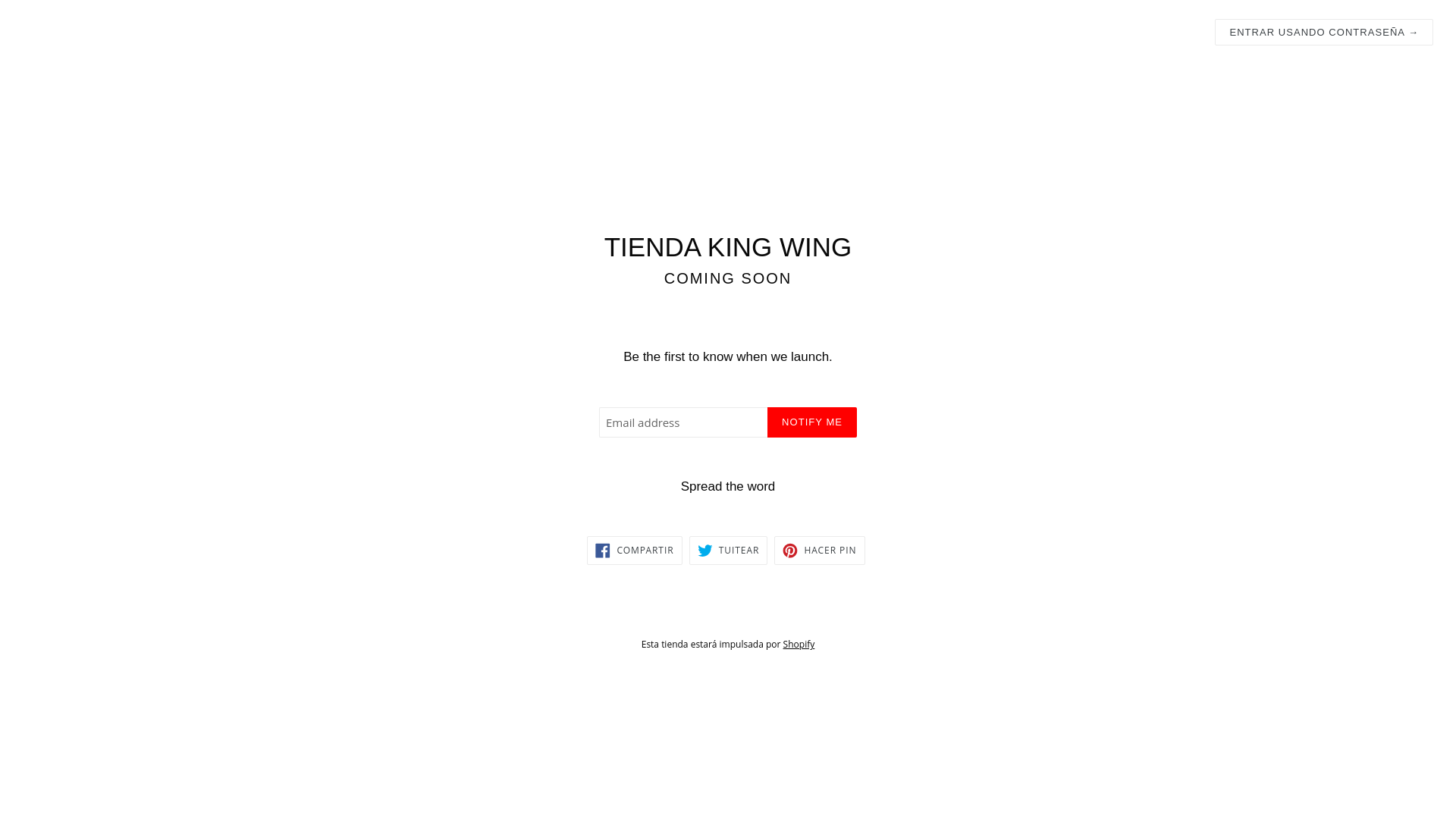 website screenshot of https://tiendakingwing.com/