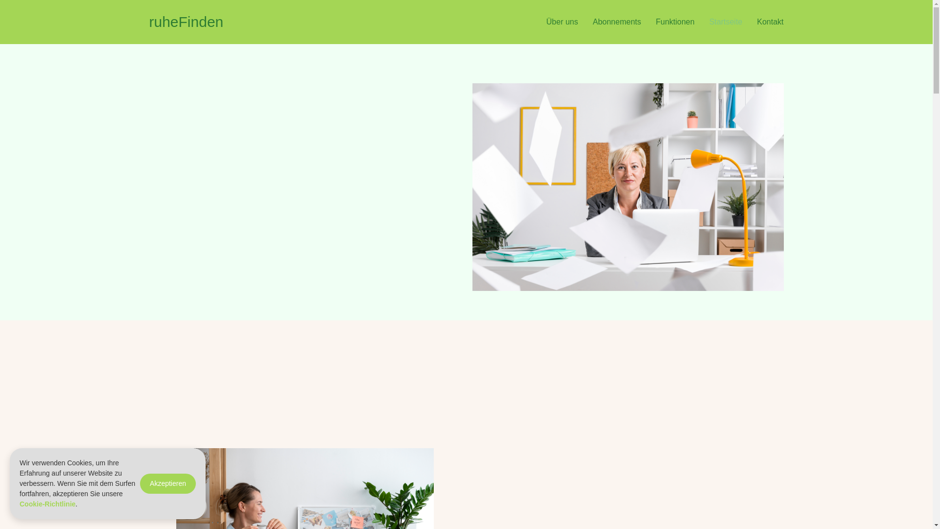 website screenshot of https://ruhefindenplus.com/