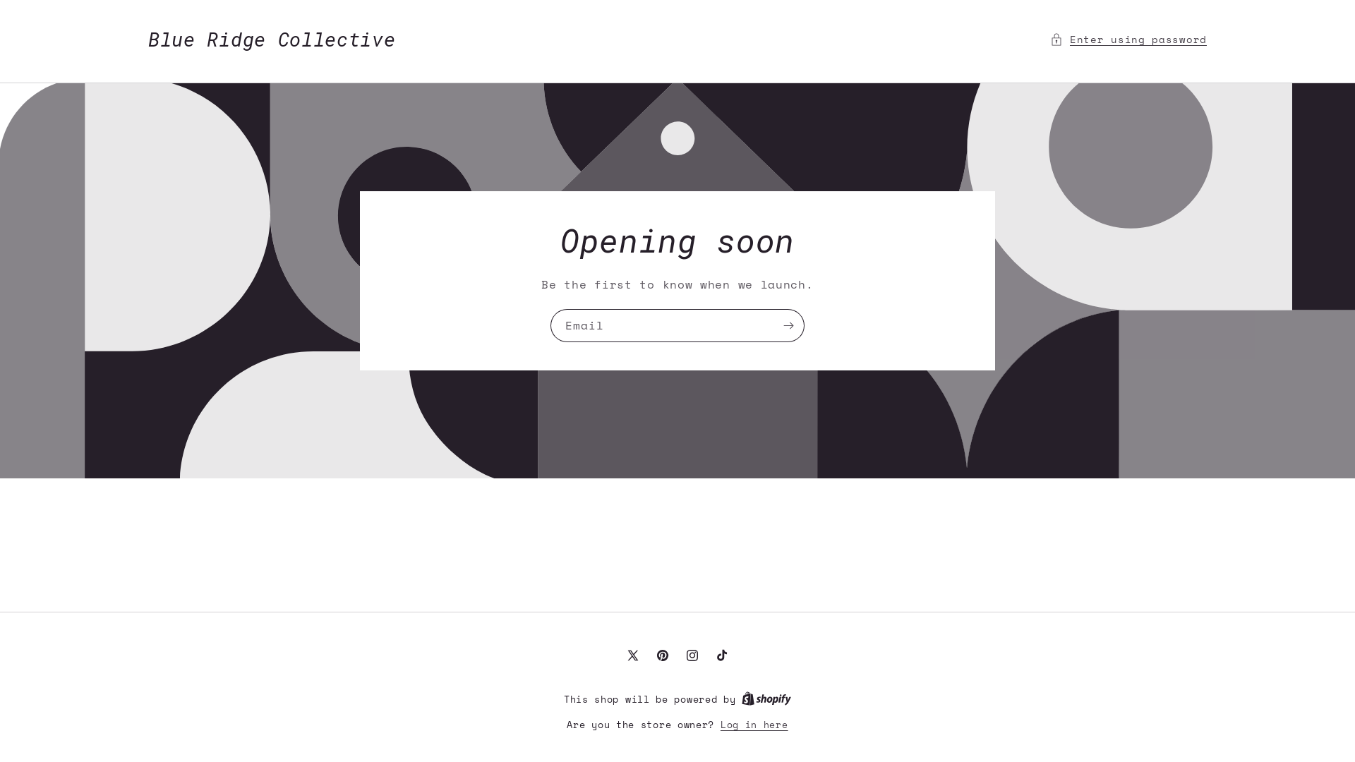 website screenshot of https://blueridgecollective.shop/