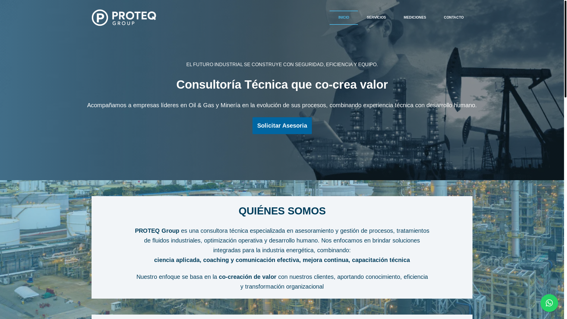 website screenshot of https://proteqgroup.com/