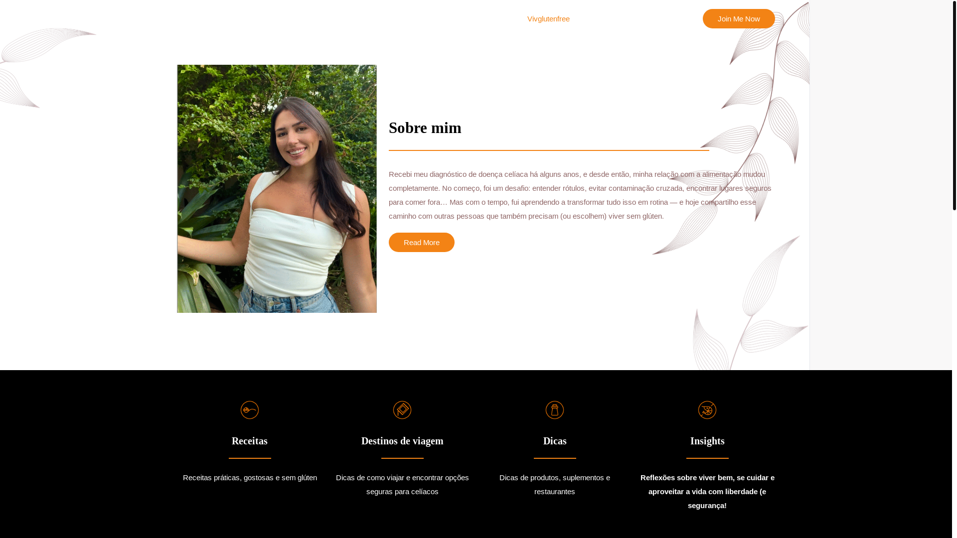 website screenshot of https://vivglutenfree.com.br/