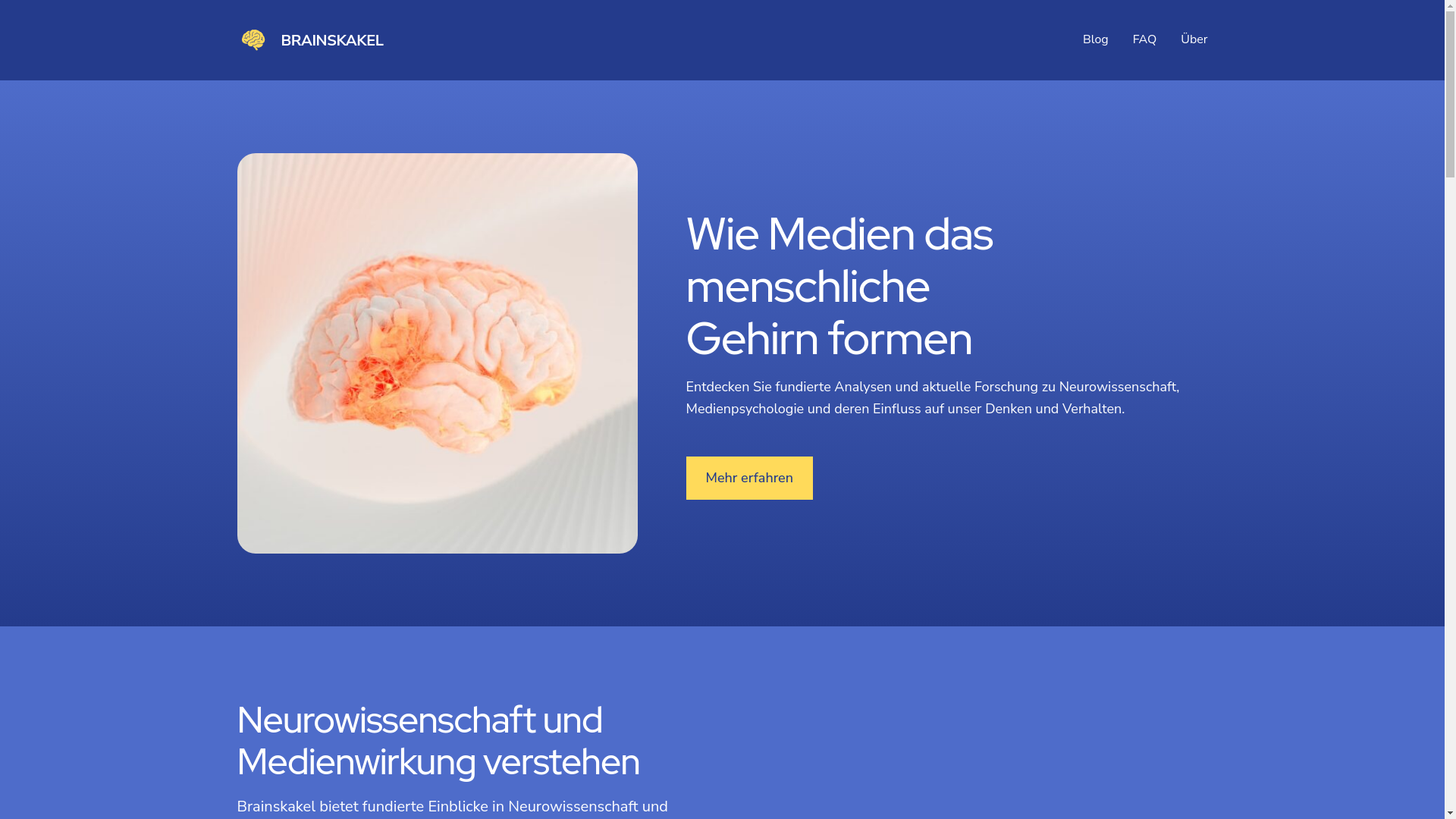 website screenshot of https://brainskakel.com/