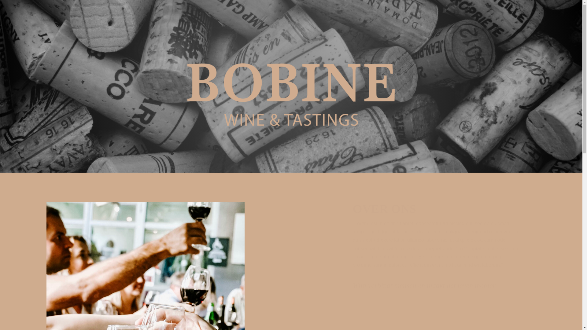 website screenshot of https://bobinewt.nl/