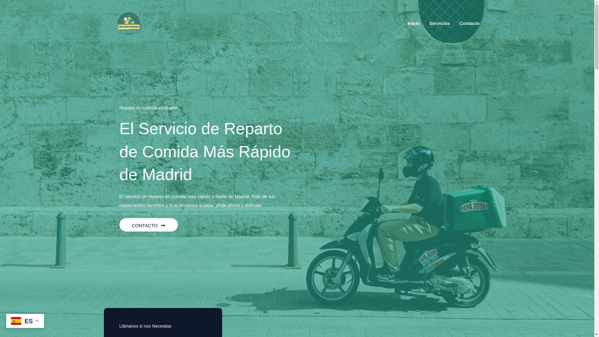website screenshot of https://nelsoncarreraperez.es/