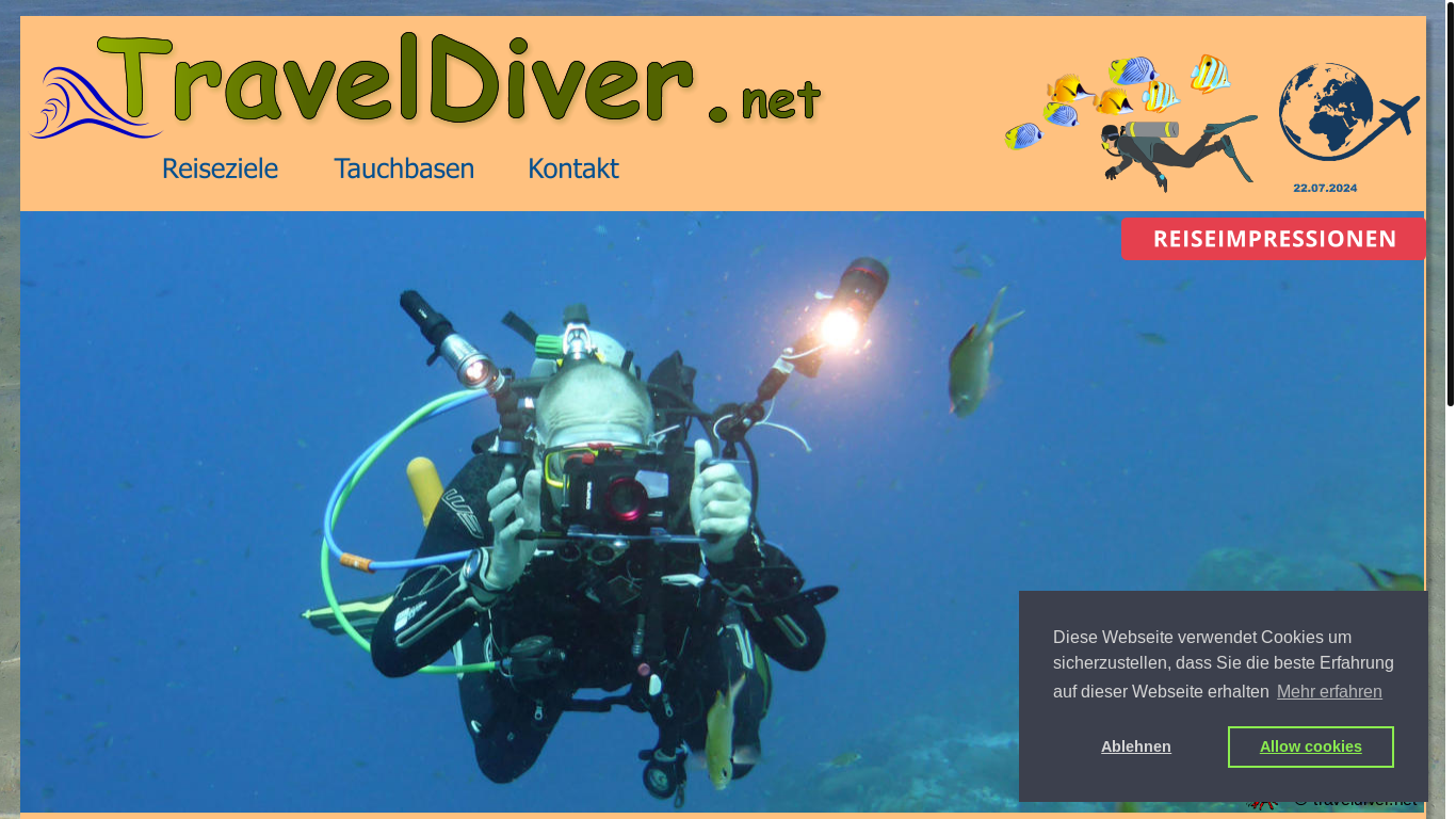 website screenshot of https://traveldiver.eu/