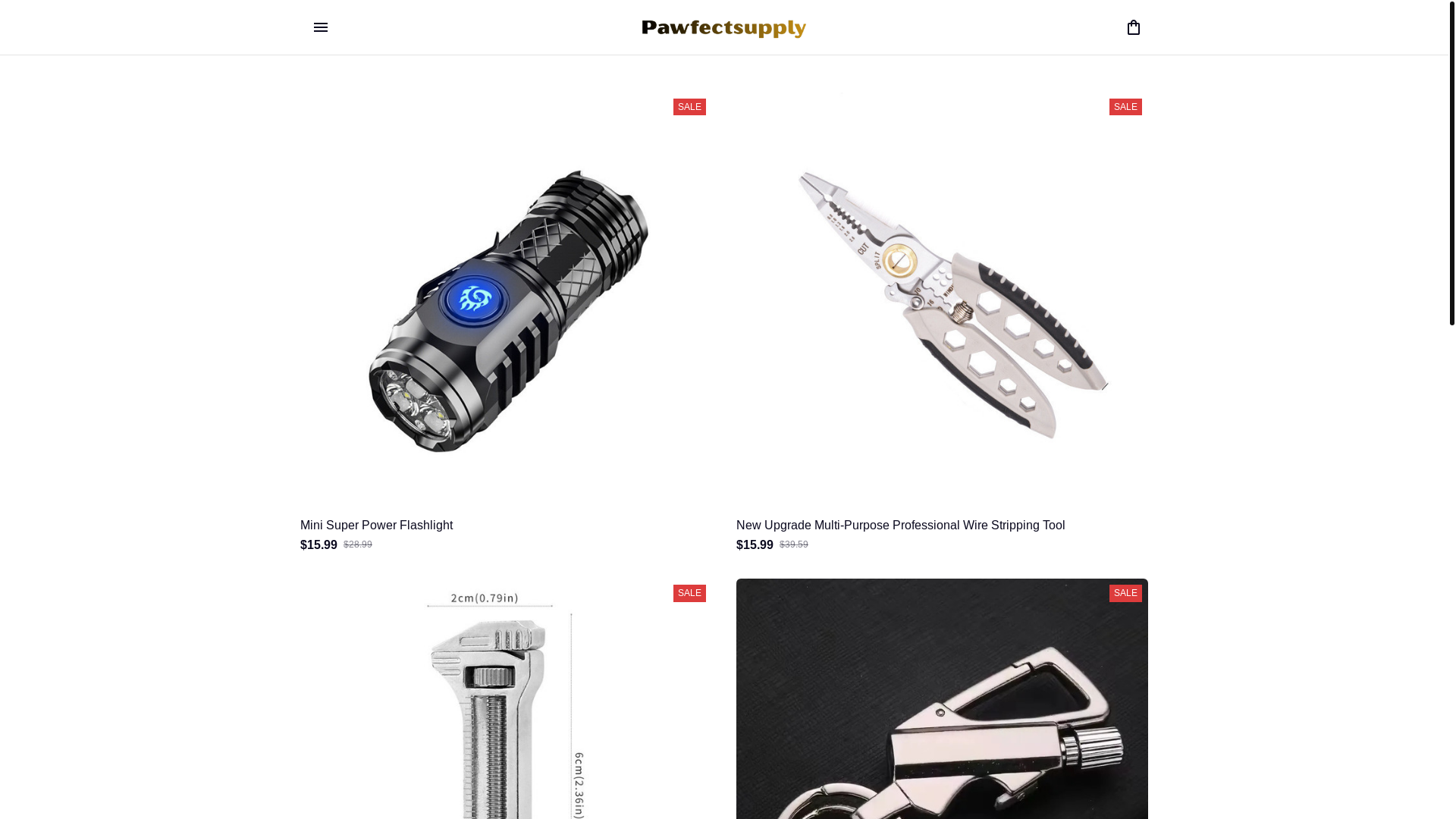 website screenshot of https://foreverflameshop.site/